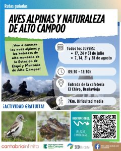 Cartel Rutas guiadas por Alto Campoo