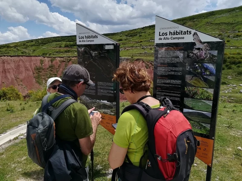 Cantur y SEO/BirdLife organizan rutas guiadas durante el verano para aproximarse a las aves y hábitats de Alto Campoo